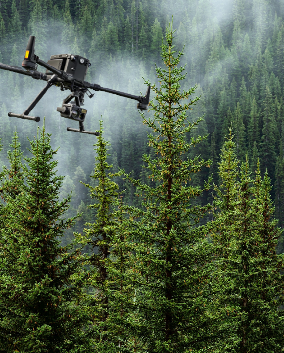 A drone flying above pine trees, capturing a forest landscape with a camera, set against a misty backdrop.