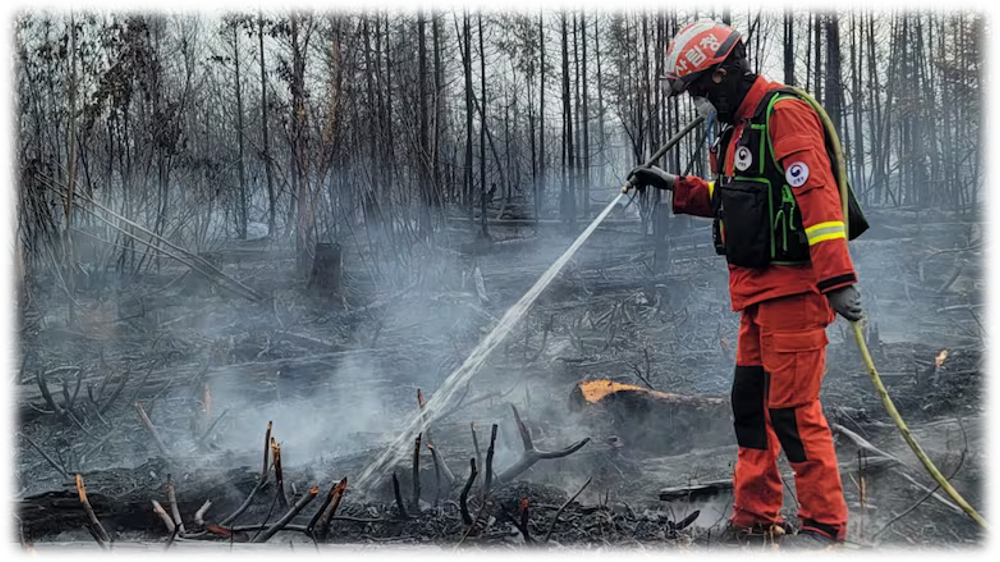 A firefighter in an orange uniform uses a long hose to spray water on fallen trees in a smoky forest clearing.